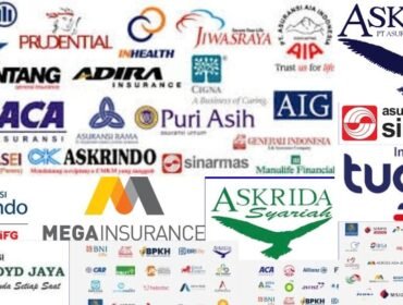 Mengapa Asuransi Penting bagi Stabilitas Ekonomi Negara