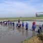Kementan pacu tanam padi serentak di 38 daerah se-Jatim hadapi El Nino