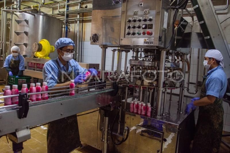 Menkop dan Bappenas dukung penguatan koperasi sektor produksi